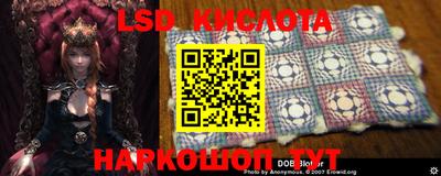 стаф Кунгур