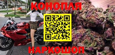 стаф Кунгур