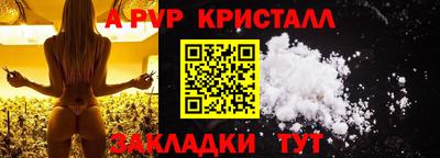 стаф Кунгур