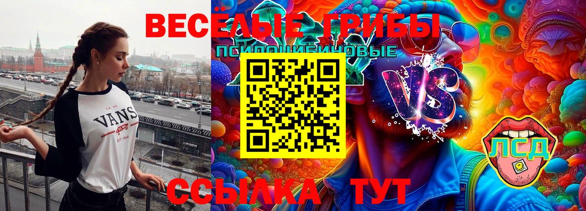 Псилоцибиновые грибы прущие грибы  Вход с VPN  наркошоп  Галлюциногенные грибы прущие грибы  Сердобск 