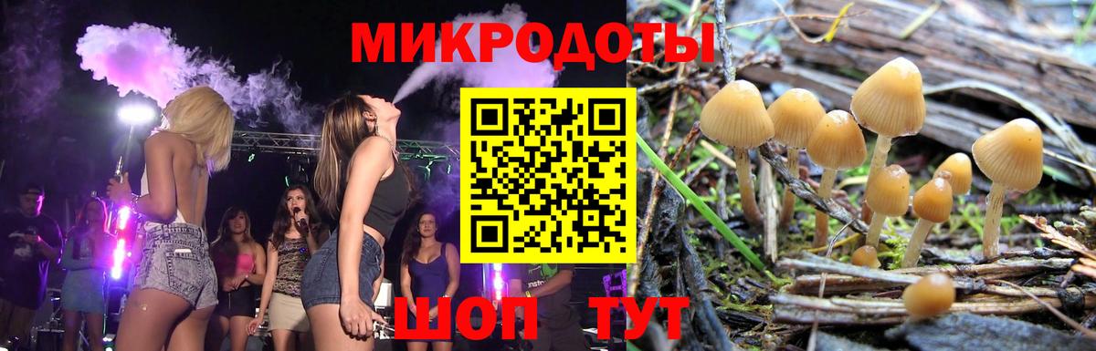Псилоцибиновые грибы мухоморы Сердобск